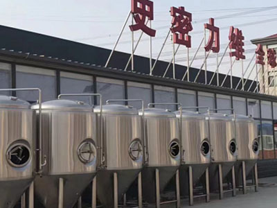 麻城精酿啤酒设备厂—如何判断精酿啤酒设备的密封件需要更换？
